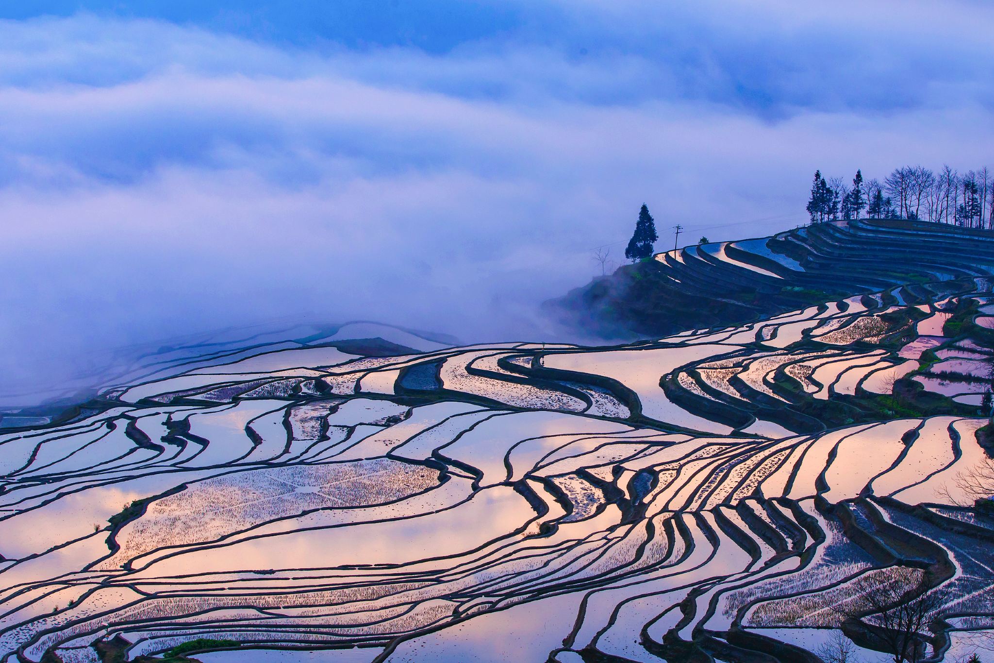 Honghe Yuanyang Hani Rice Terrace Scenic Area Private Tour for Foreign Tourists