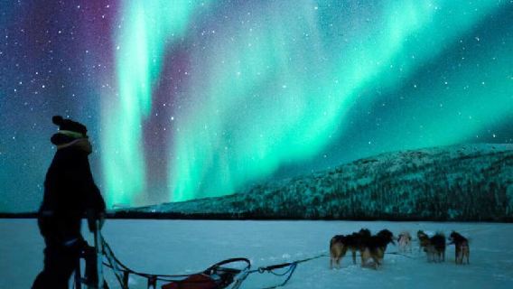 芬蘭羅瓦涅米+森林馴鹿牧場一日遊/行程可調-可定制多日