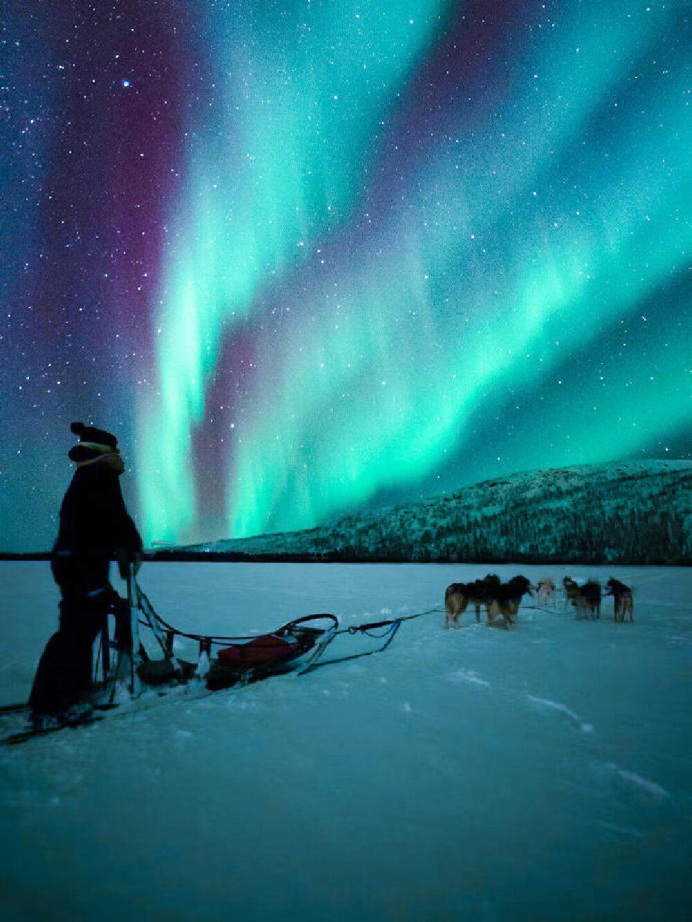 芬蘭羅瓦涅米+森林馴鹿牧場一日遊/行程可調-可定制多日