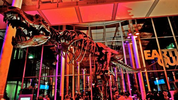 Tiket Masuk Kamis Malam di California Academy of Sciences
