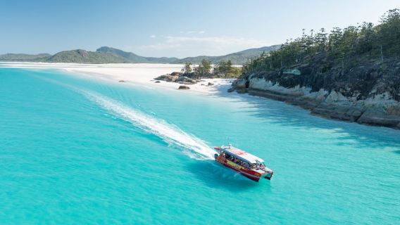 Airlie Beach: crociera ecologica di un giorno a Whitehaven con buffet