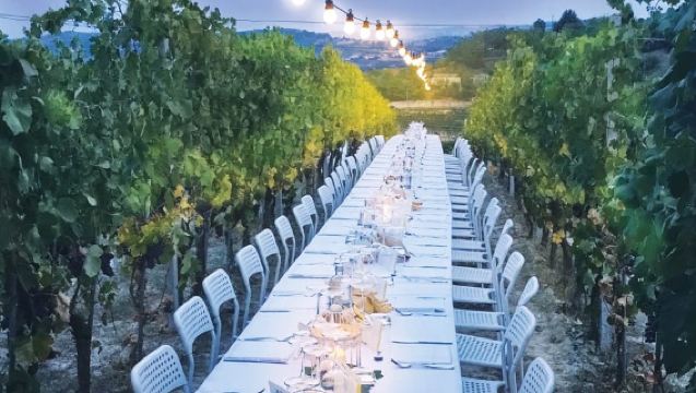 Montepulciano: Tuscan Winery Tour with Wine Tasting & Meal