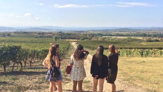 Lastours, Vinyard, Minerve, Canal du Midi from Carcassonne