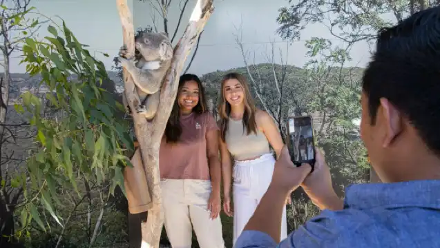 藍山探險：風景世界、動物園和無尾熊照片