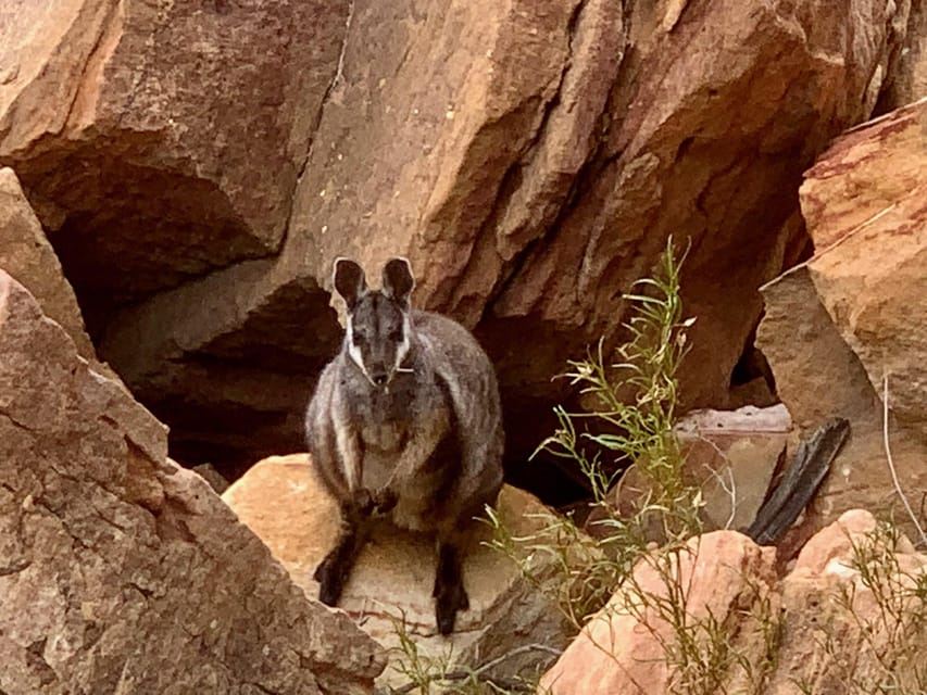 Tour dello Skywalk di Kalbarri