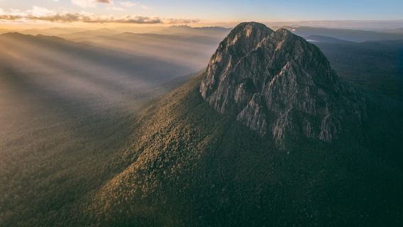 Hobart : vol et croisière dans la région sauvage du sud-ouest avec déjeuner