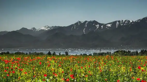 From Samarkand: Shahrisabz Private Day Tour