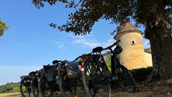 ทัวร์จักรยานไฟฟ้าบอร์โดซ์แบบ Backcountry พร้อมอาหารกลางวันและชิมไวน์