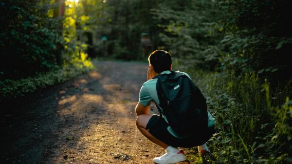 Zaina Falls:Waterfall Wander and Picnic Bliss