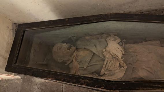 Mexiko-Stadt: Museum El Carmen Tour mit Ticket