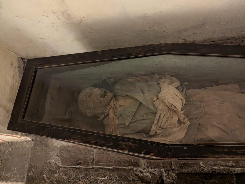 Ciudad de México: Tour al Museo del Carmen con entrada