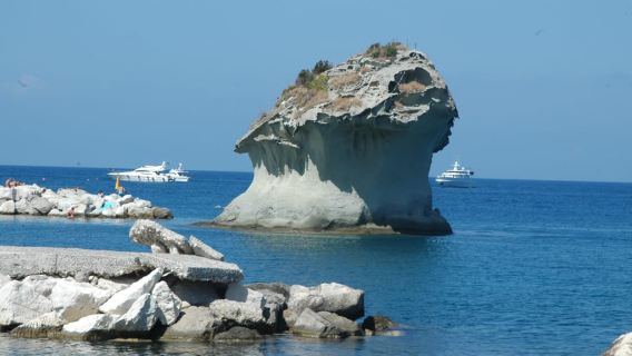 Tour pomeridiano dell'isola d'Ischia in autobus
