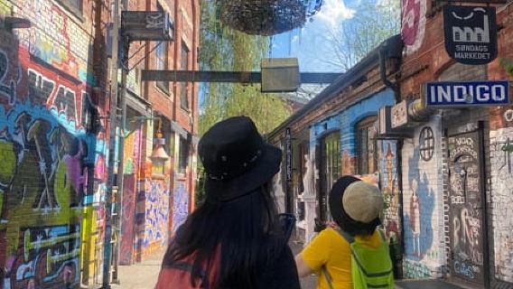 Oslo Walk: attrazioni della città e tesori nascosti_Tour privato a piedi