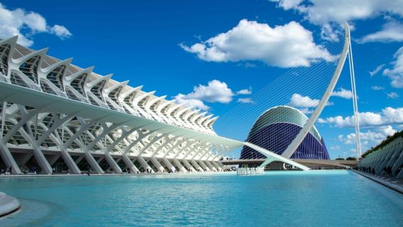 Desde Alicante visita: Centro de Valencia