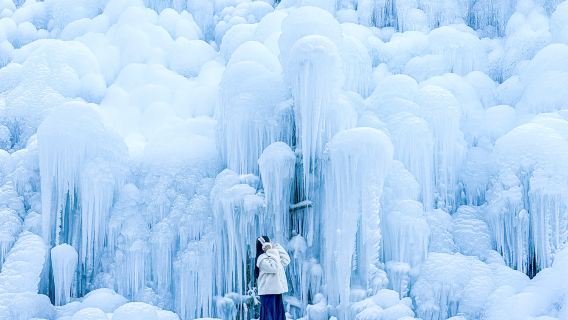 Национальный парк исцеления Кенджу + Ледяная сказка Теагу + дневной тур на Рынок Западного Валентина (из Пусана)