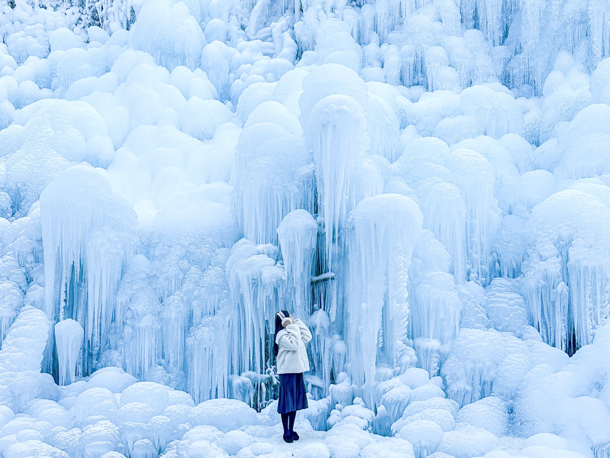 Gyeongju Kookmin Healing Park + Seomun Market + Songhae Park Ice Wall (or) Biseulsan Recreational Forest One Day Tour (Depart from Busan, Winter Special Wonderland)