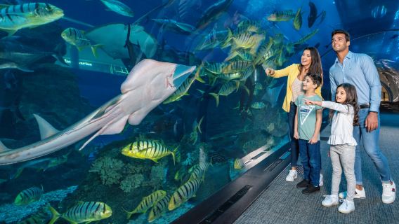 บุรจญ์เคาะลีฟะฮ์ ชั้น 148 พิพิธภัณฑ์สัตว์น้ำ ดูไบ และซาฟารีทะเลทรายพร้อมอาหารเย็นแบบบาร์บีคิว