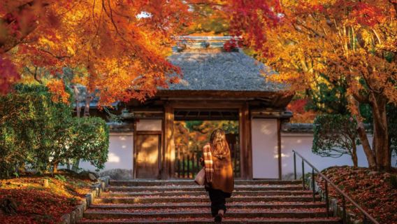 京都嵐山+貴船神社+三千院一日遊【含嵯峨小火車可選飯店接送】