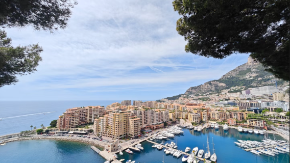 摩納哥親王宮+摩納哥港+蒙地卡羅尼爾歌劇院+埃茲小鎮+山頂植