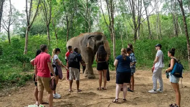 小團遊覽考拉克大象保護區