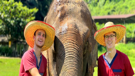 Experiencia en el Santuario de Elefantes RAN TONG en Chiang Mai