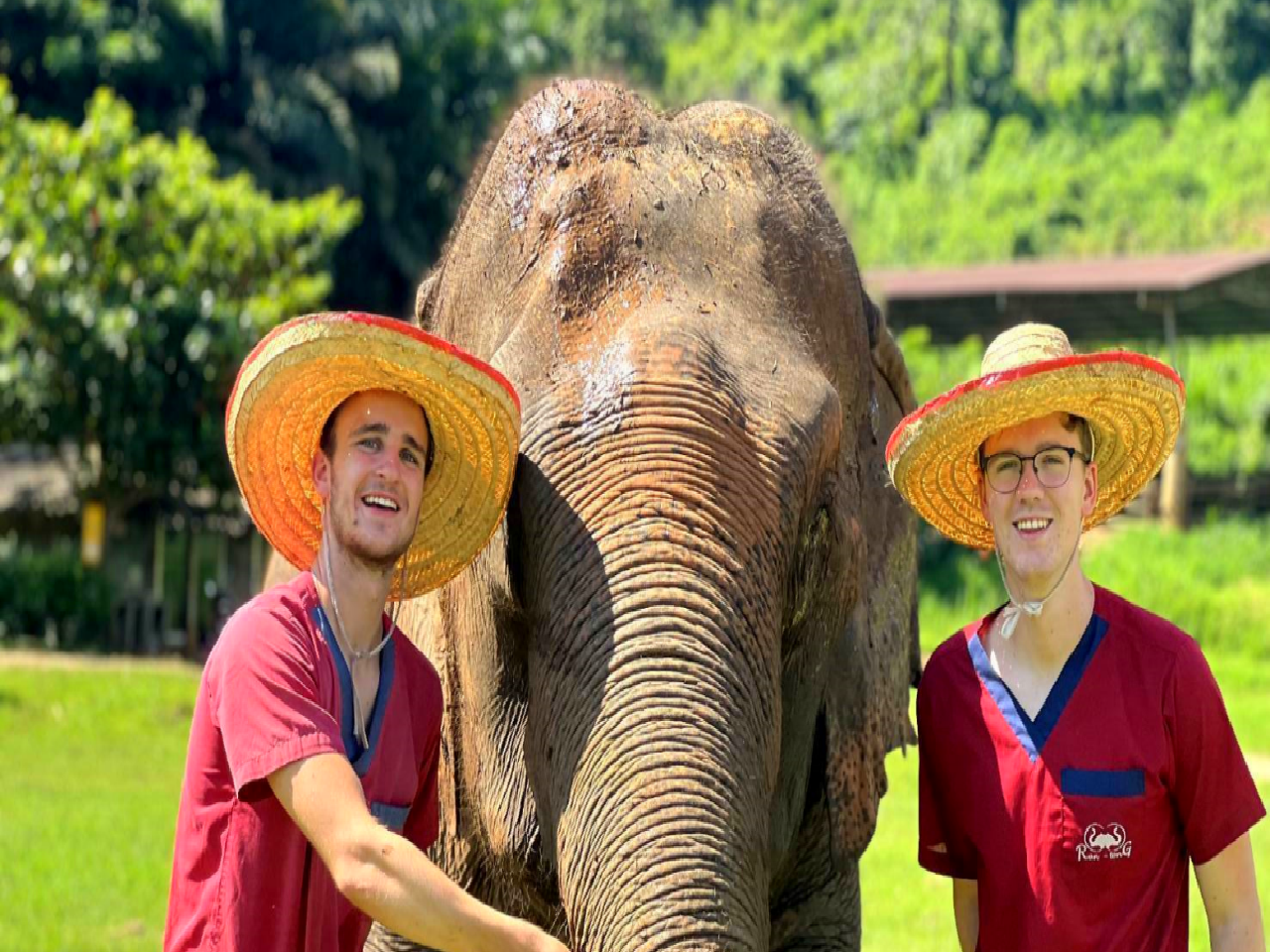 치앙마이 란통 코끼리 보호소 체험