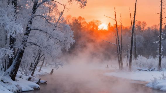 Changbai Mountain North Slope Day Tour: Experience the Winter Charm of Changbai Mountain