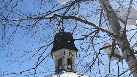 日本北海道+旭山+森林精靈陽台一日遊/行程可調-可訂製