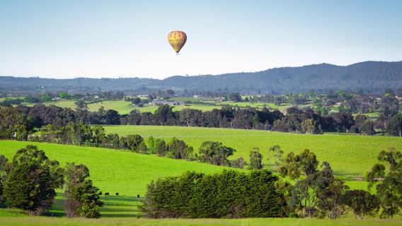 Australia: Yarra Valley & Dandenongs Ranges Wine Experience 1-day Tour from Melbourne | Join-in Tour