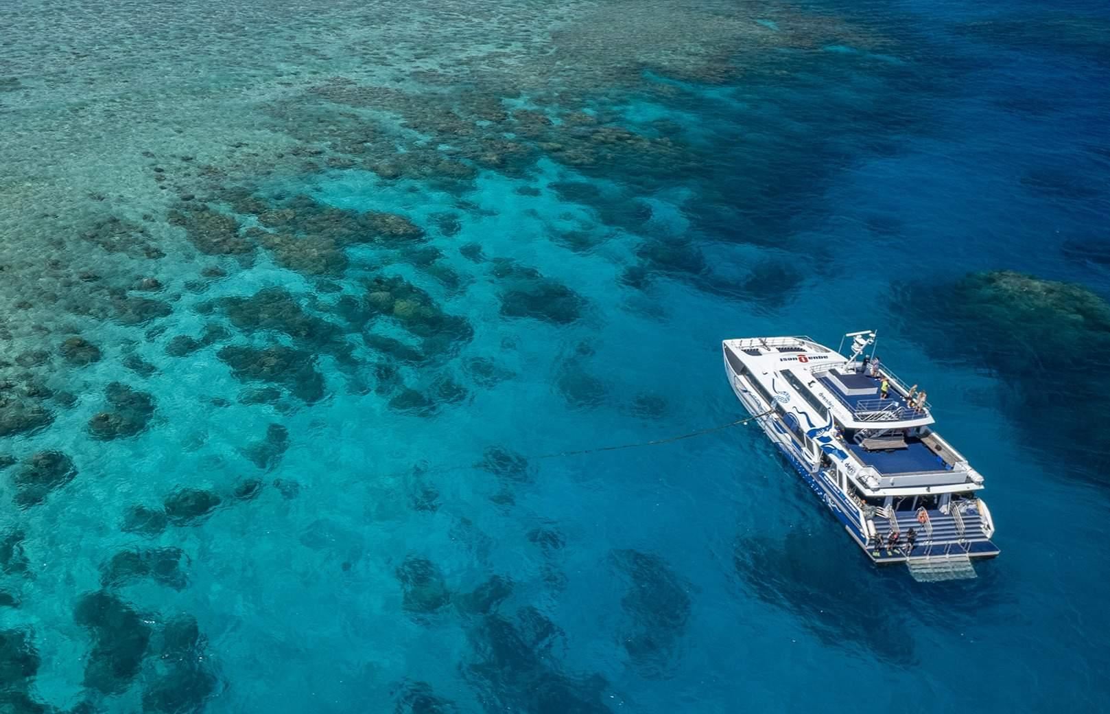 tour di un giorno sull'AquaQuest alla barriera corallina esterna di Cairns, Australia