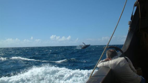Madeira: Flaggschiff-Tour an Bord der Santa Maria de Colombo