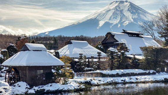 1-day tour to Mount Fuji, Lake Kawaguchi & Oshino hakkai with optional A5 premium wagyu beef lunch