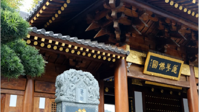 In-depth live guided tour of Donglin temple and Xilin temple with an experienced guide