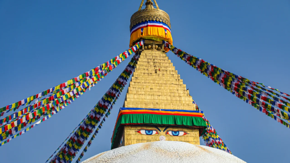 Private charter day tour to National Museum of Nepal, Buddha Stupa, Swayambhu Mahachaitya, and Pashupatinath Temple