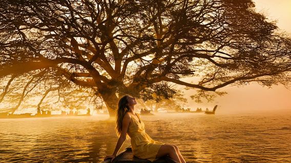 Tour di mezza giornata/giornata intera alla cascata Sticky di Chiang Mai, Thailandia [opzionale visita al Tempio Blu o alla Tiger Kingdom di Chiang Mai]