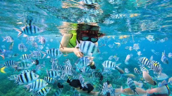 Nha Trang Snorkeling Experience at Coral Reef with Beach BBQ Lunch