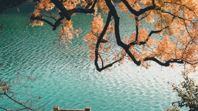 寧波蔣氏故居半日遊【包團2小時私享導覽講解服務（不包括入場門票）】