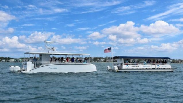 펜서콜라비치 졸리 돌핀 크루즈 및 스케닉 베이 투어