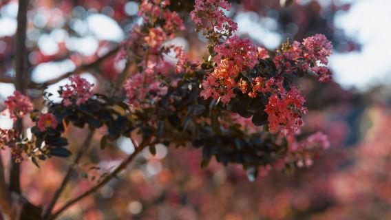 南雄Trip Moments【跟拍攝影親子家庭個人情侶照片短影片宣傳片寫真婚紗底片全送翻譯】