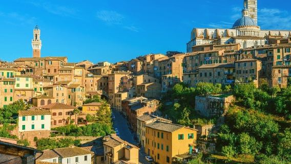 이탈리아 토스카나 피사+시에나+산지미냐노 당일 치기 여행 [영어 투어]