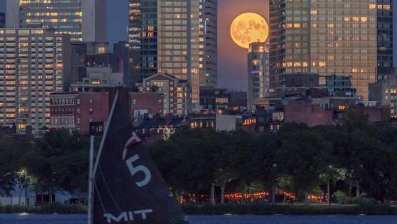 Pelabuhan Boston + Universiti Harvard + New England Akuarium - Lawatan Sehari Tanpa Tiket Tanpa Risiko