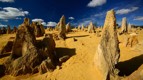 Tour di un giorno sulla costa nord di Perth in Australia | Deserto dei pinnacoli, aragosta e Yanchep ※ tour di gruppo in lingua straniera