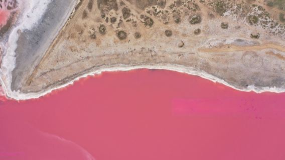 Adelaide [Lawatan Sehari Tasik Pink Menakjubkan] Kilang Anggur Penfolds + Ladang Martindale + Tasik Pink Menakjubkan