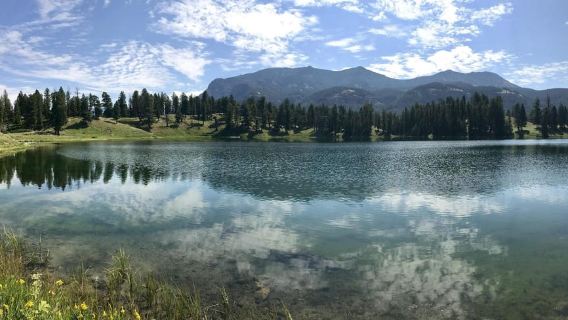 Bozeman & West Yellowstone Round-Trip 1-Day Tour
