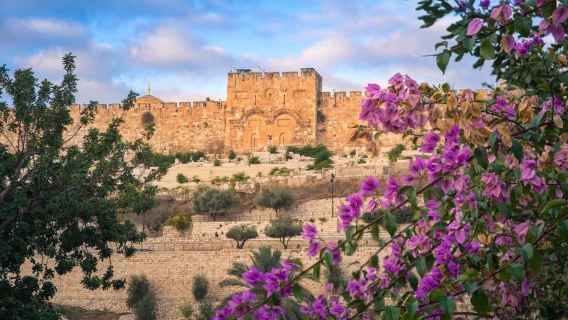 Jerusalem: Old City Morning Tour