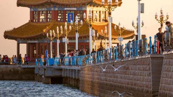 Qingdao night tour · Badaguan · May Fourth Square · Olympic Sailing Center with English guide and transfer
