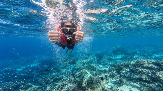 Elite Snorkeling Nusa Penida