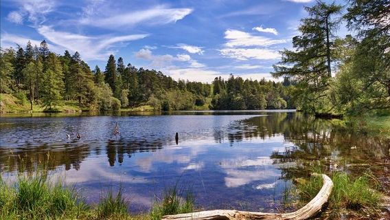 WindermereTours