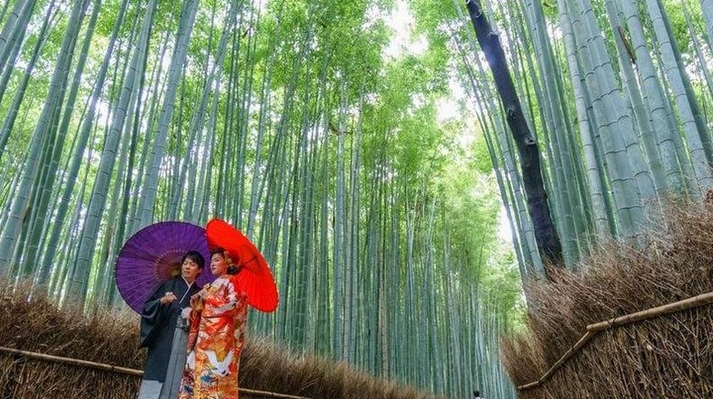 Japan Public Holiday 2025 Trip Guide