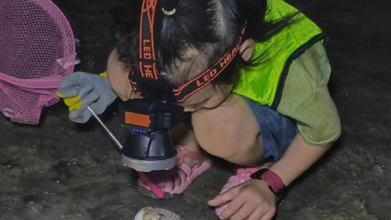 海南三亞海棠灣後海趕海體驗【提供趕海工具+專業教練帶隊指導】